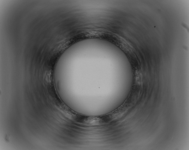 X0000097480514200803071719