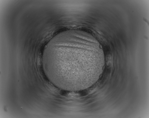 X0000097480515200803071719