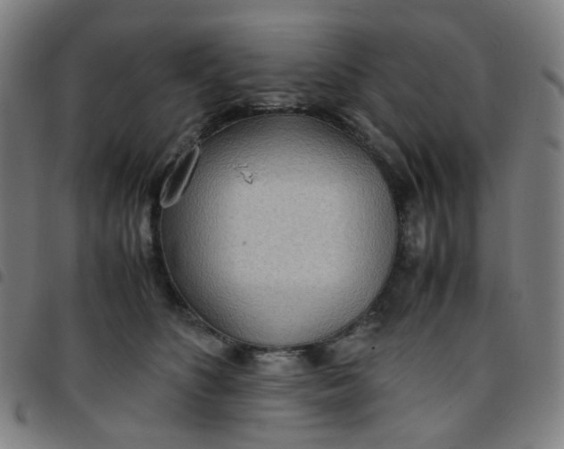 X0000097480516200803071719