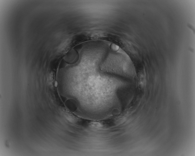 X0000097480519200803071719