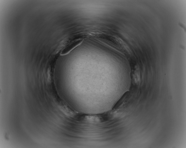 X0000097480520200803071719