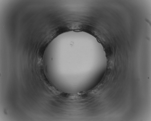 X0000097480521200803071719