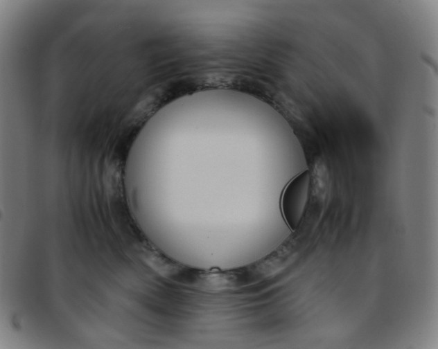 X0000097480522200803071719