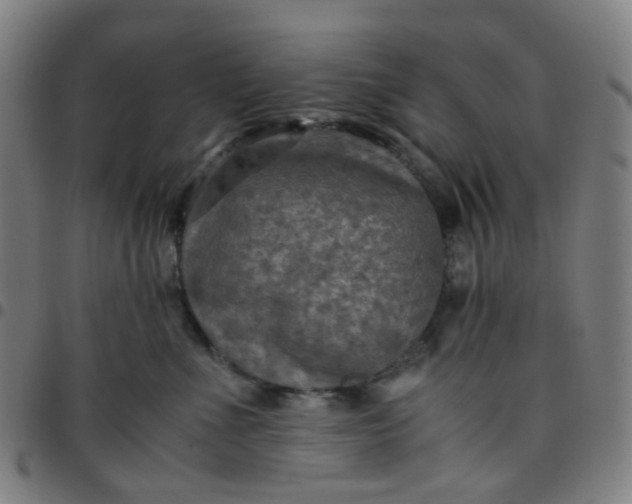 X0000097480523200803071719