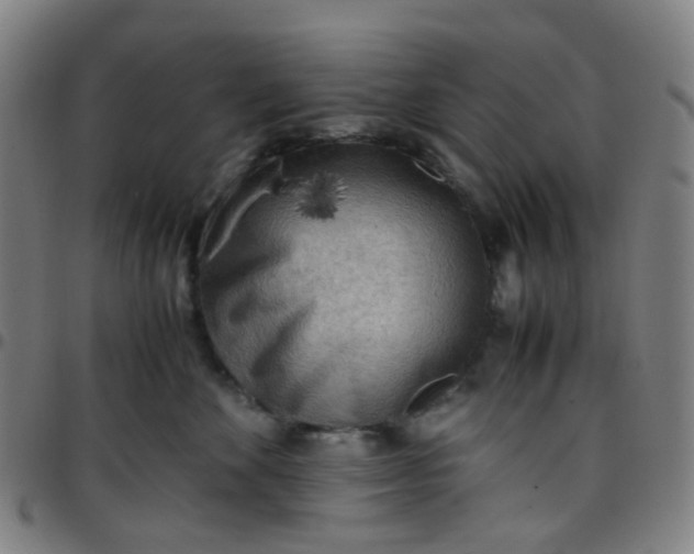 X0000097480524200803071719