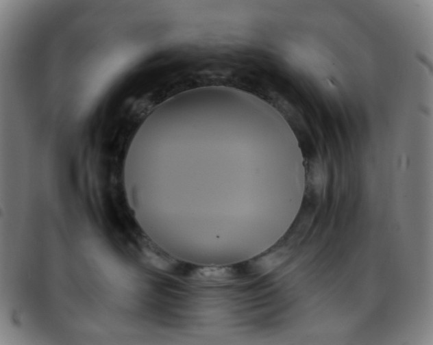 X0000097480526200803071719