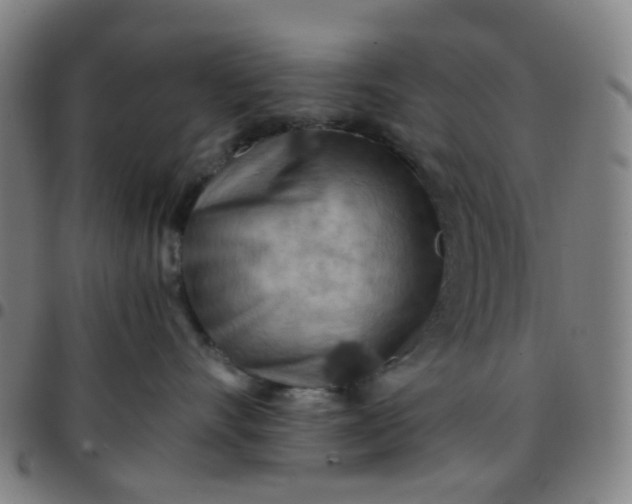 X0000097480528200803071719