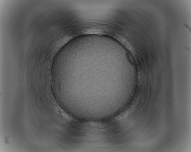 X0000097480529200803071718