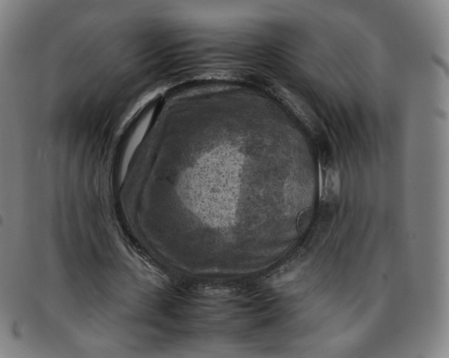 X0000097480531200803071718