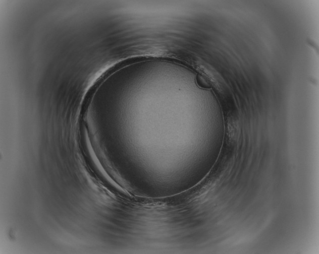 X0000097480532200803071718