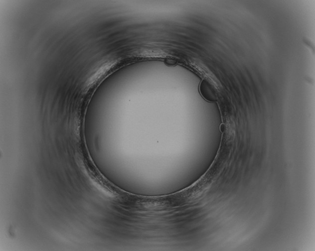 X0000097480533200803071718