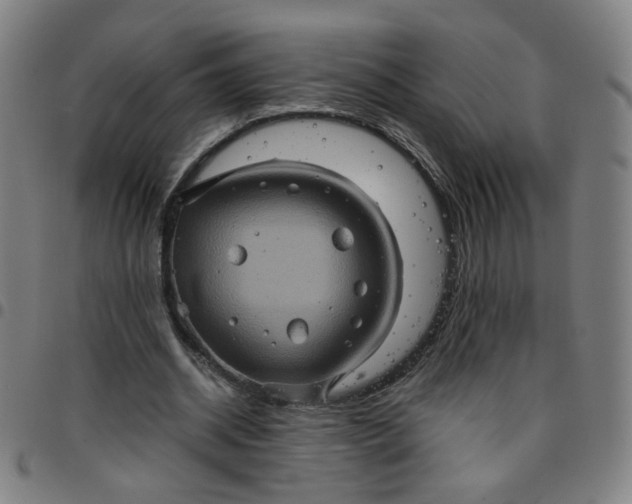 X0000097480534200803071718