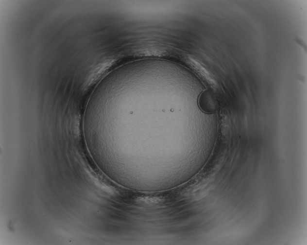 X0000097480537200803071719