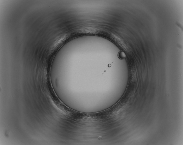 X0000097480538200803071719