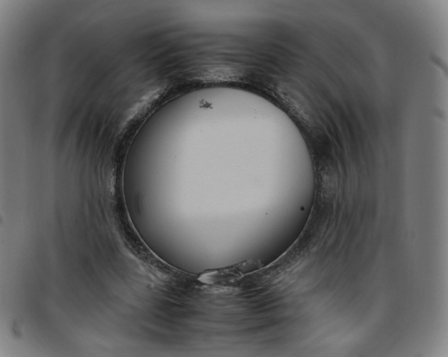 X0000097480539200803071719