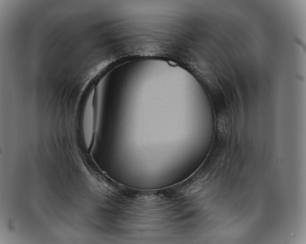 X0000097480540200803071719