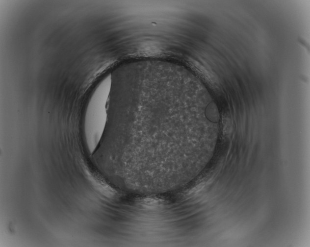 X0000097480542200803071719