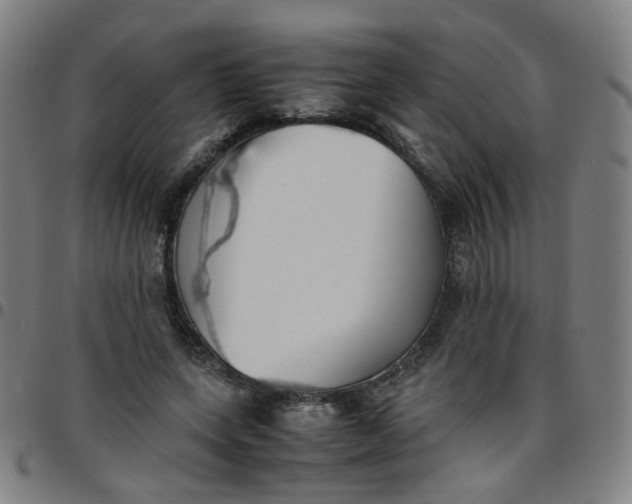 X0000097480543200803071719