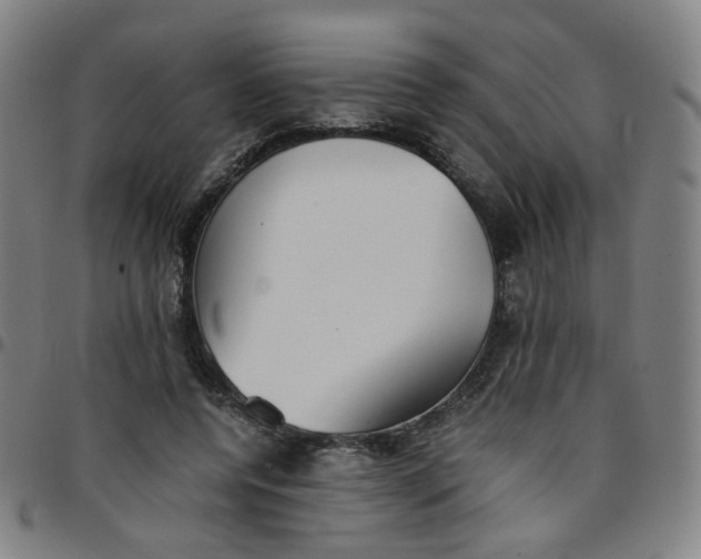 X0000097480544200803071719