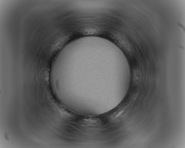 X0000097480545200803071719