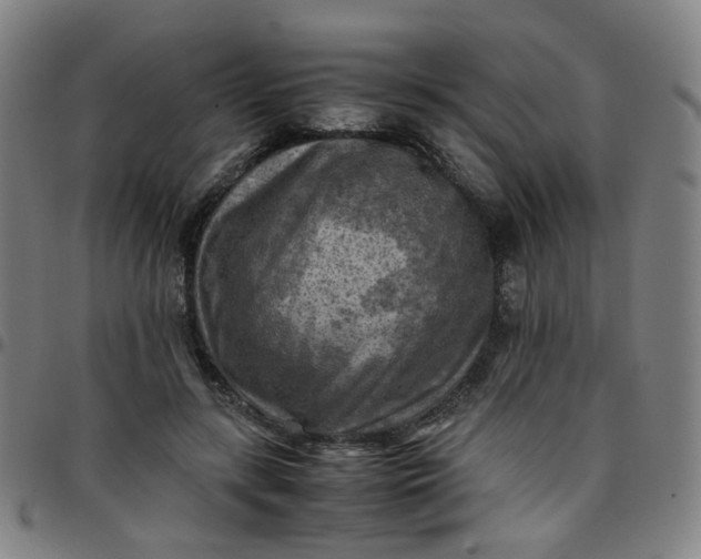 X0000097480547200803071719