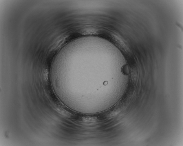 X0000097480549200803071719