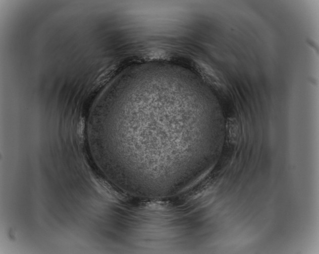 X0000097480550200803071719