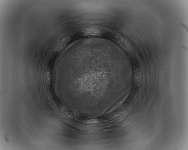 X0000097480551200803071719