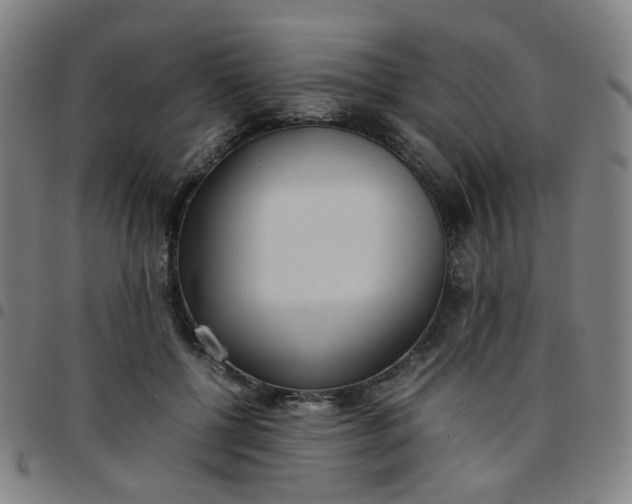 X0000097480552200803071719