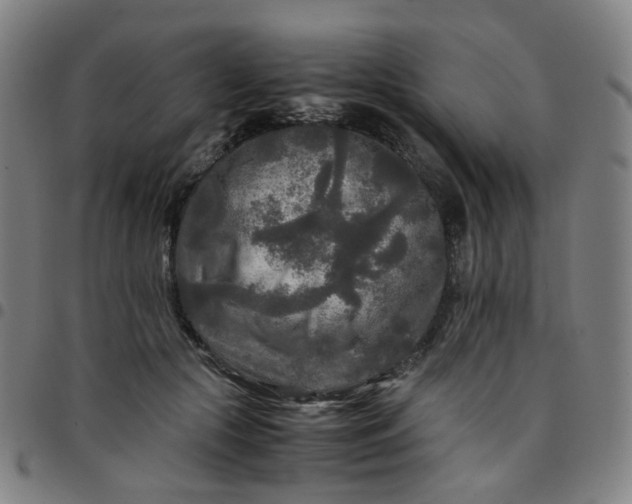 X0000097480553200803071719