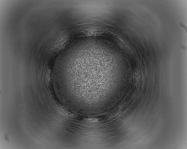 X0000097480554200803071719