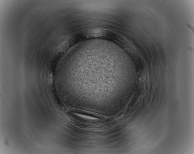 X0000097480555200803071719