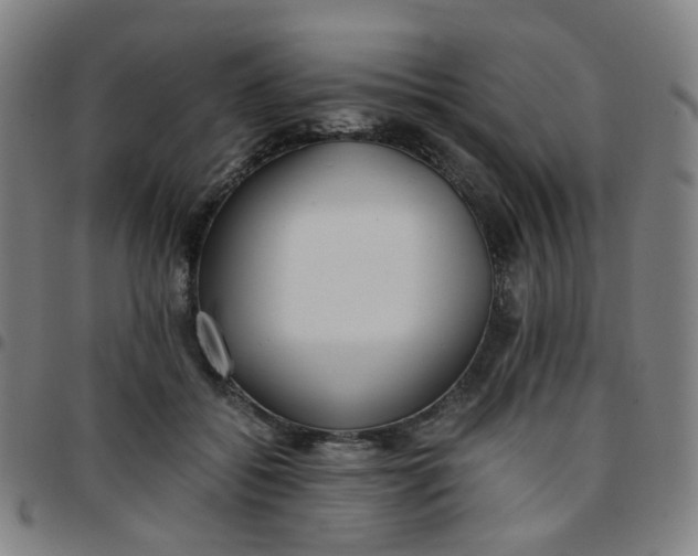 X0000097480556200803071719