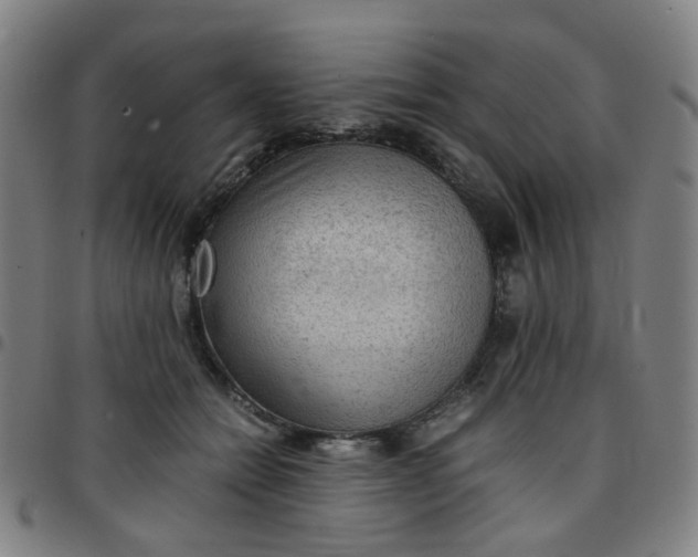 X0000097480558200803071719