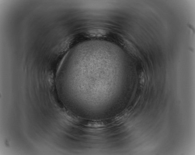 X0000097480559200803071719