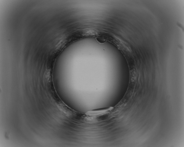 X0000097480560200803071719