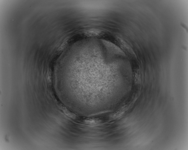 X0000097480561200803071719