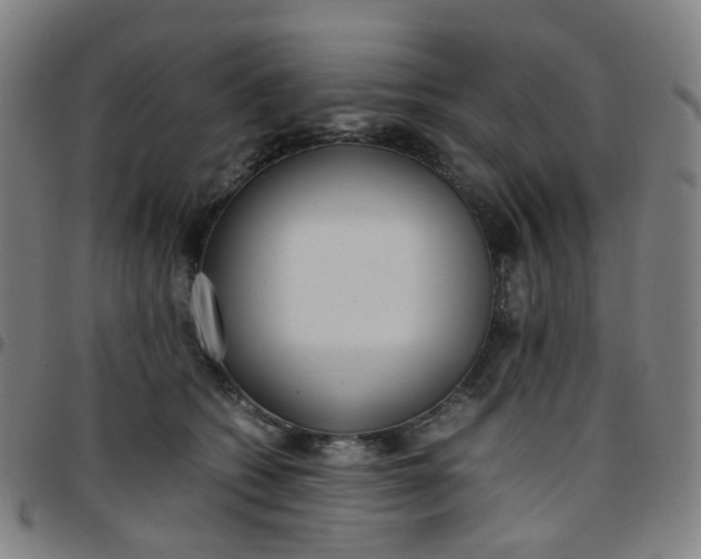 X0000097480562200803071719