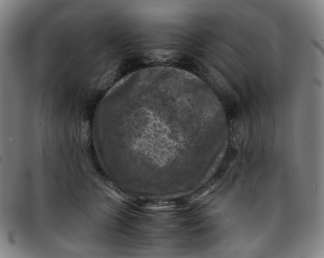 X0000097480563200803071719