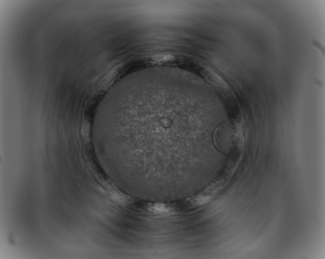 X0000097480565200803071719