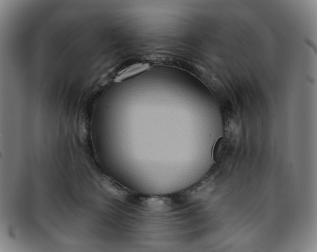 X0000097480566200803071719