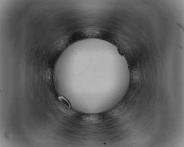 X0000097480567200803071719