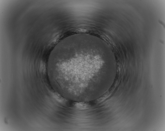 X0000097480568200803071719