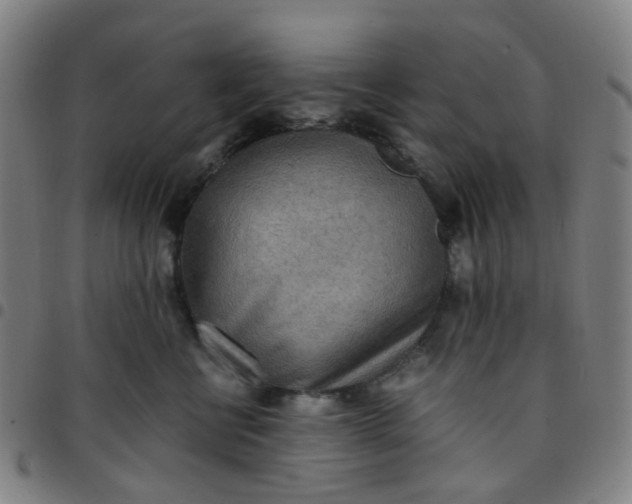 X0000097480570200803071719