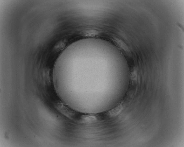 X0000097480572200803071719