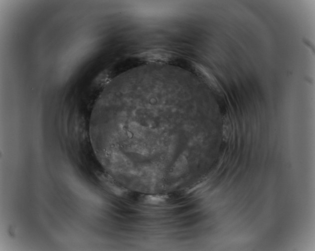 X0000097480573200803071719