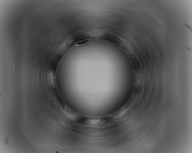 X0000097480575200803071719