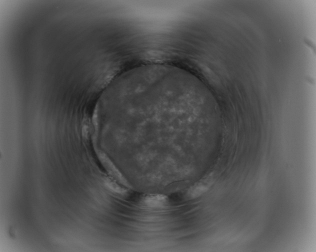 X0000097480576200803071719