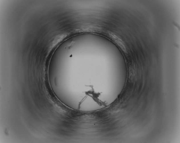 X0000097480578200803071718