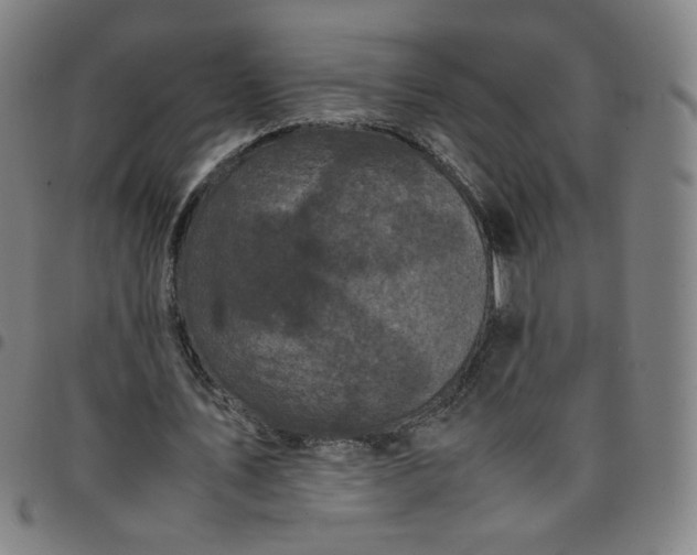 X0000097480579200803071718